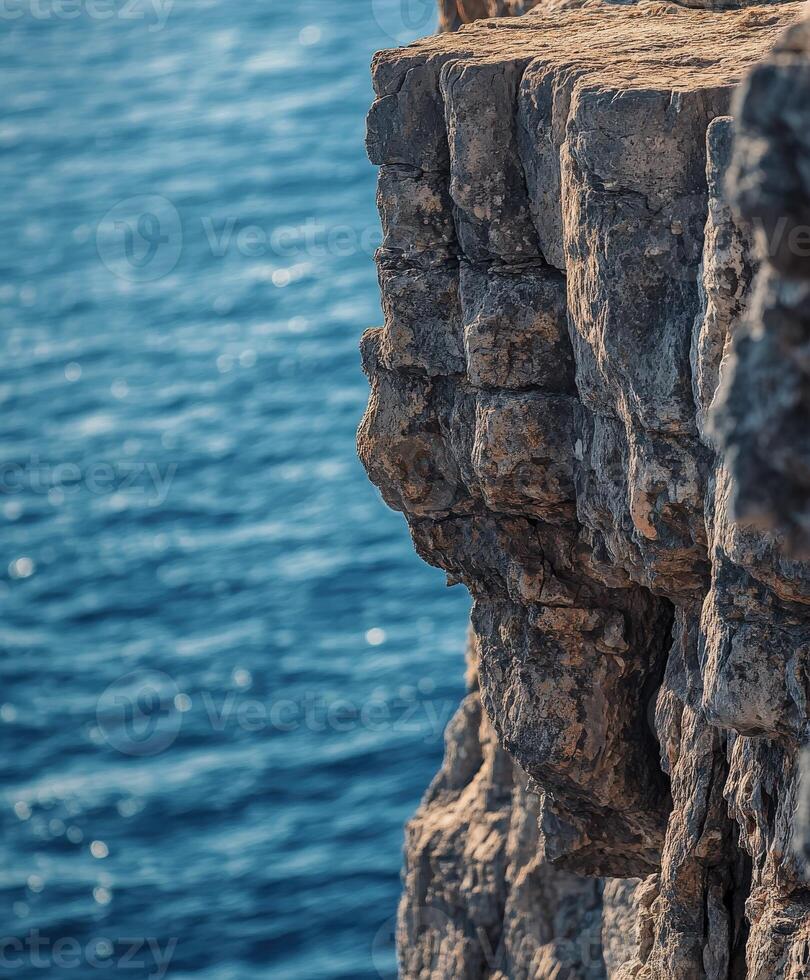 A lone lion standing on a cliff overlooking the ocean photo