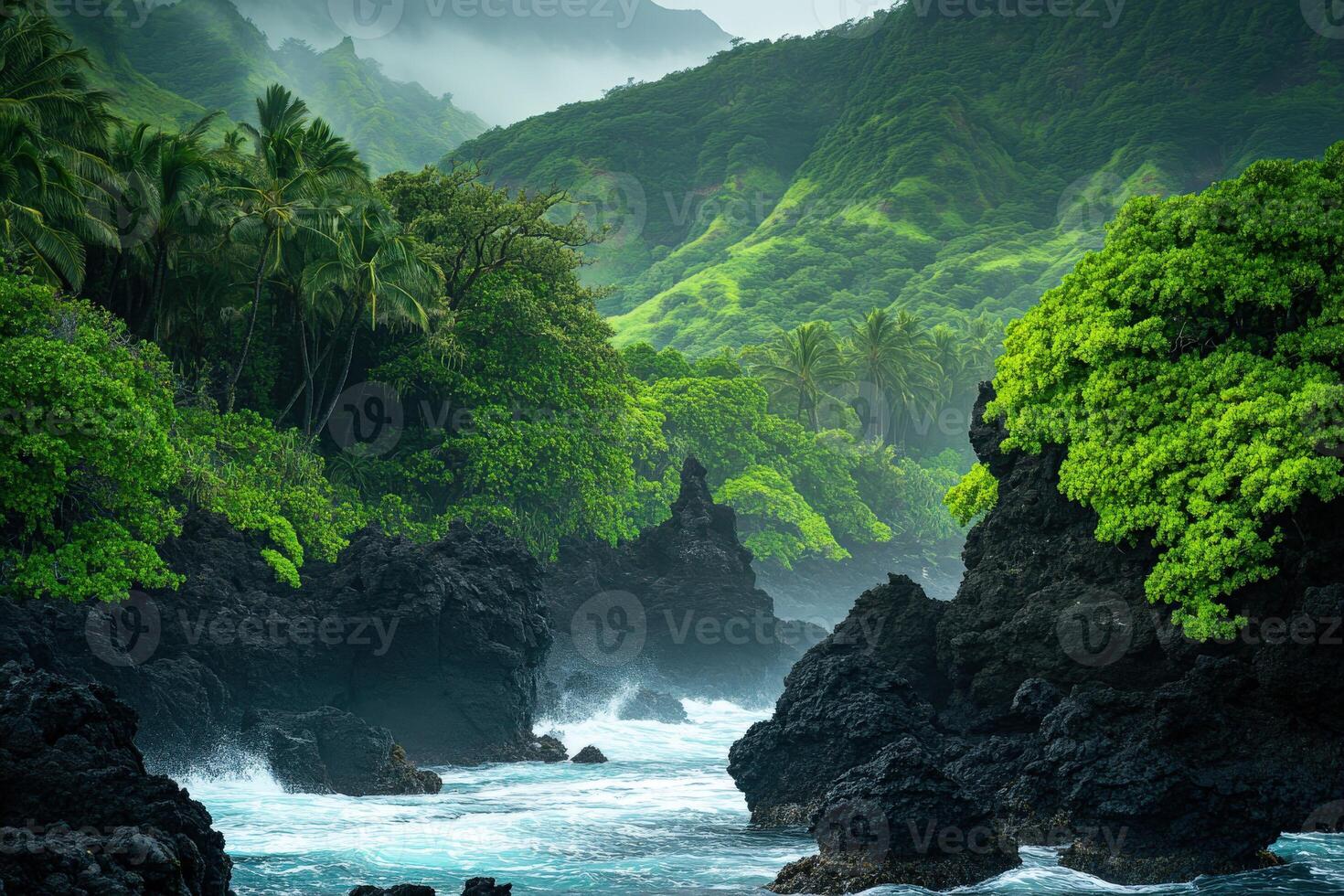 Lush tropical landscape by the coast photo