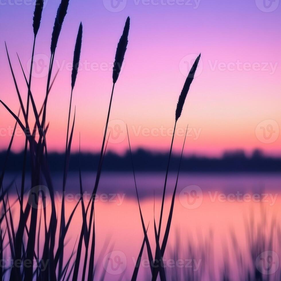 Tranquil sunset over the lake photo