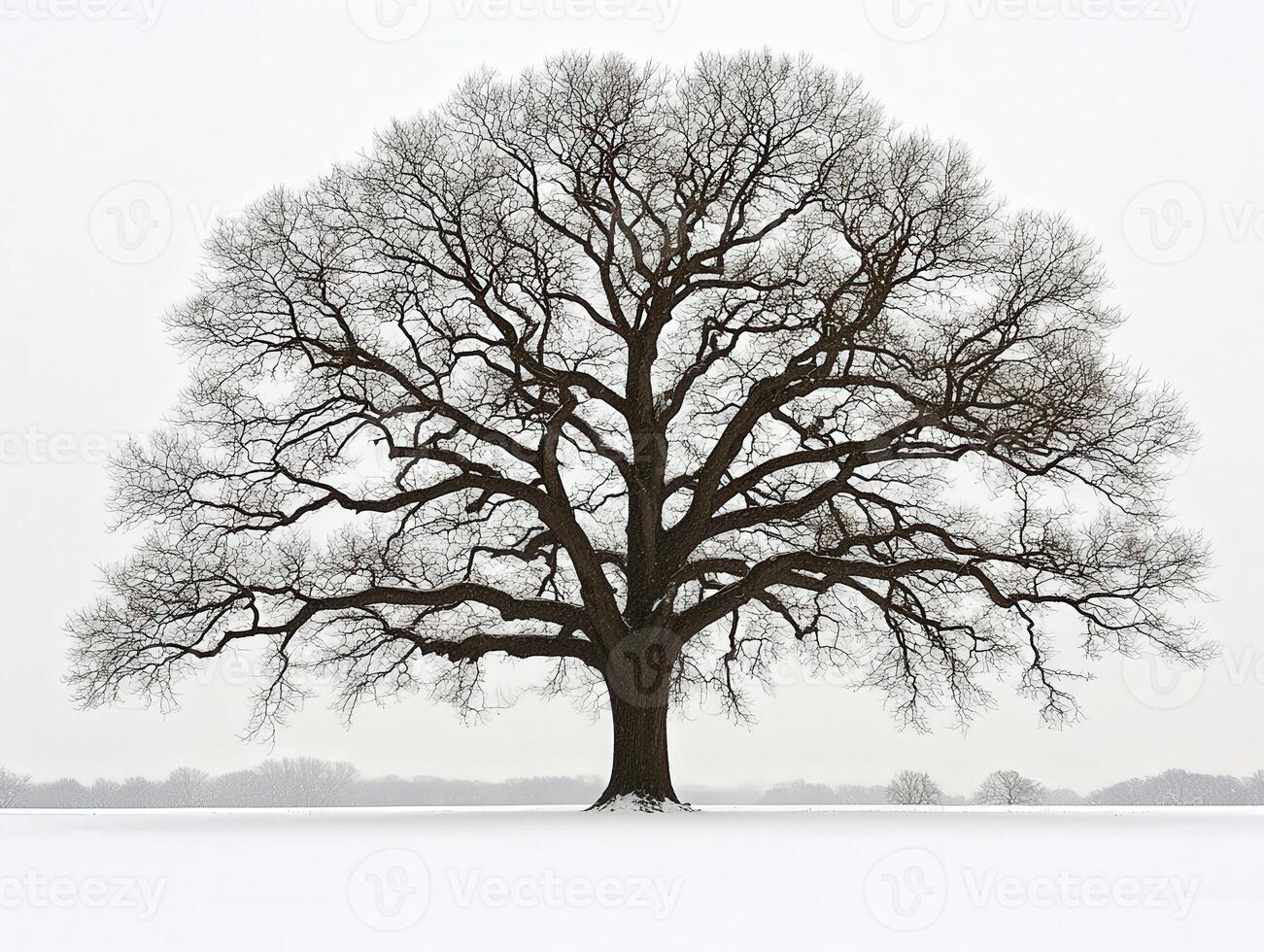 A large tree is standing in the snow photo