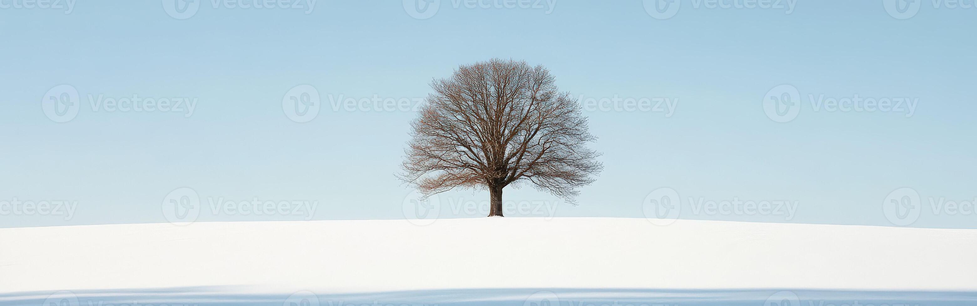 Tree stands alone in winter snow photo