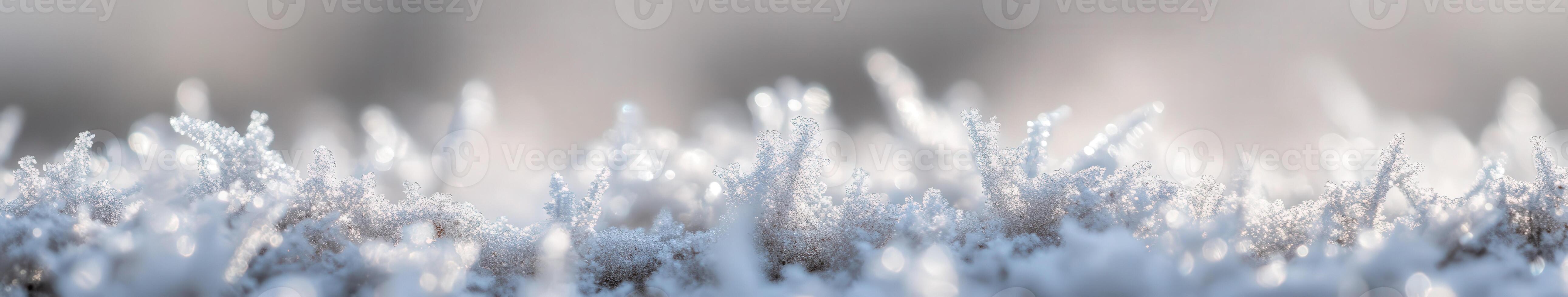 Frosty grass by james mccormick photo