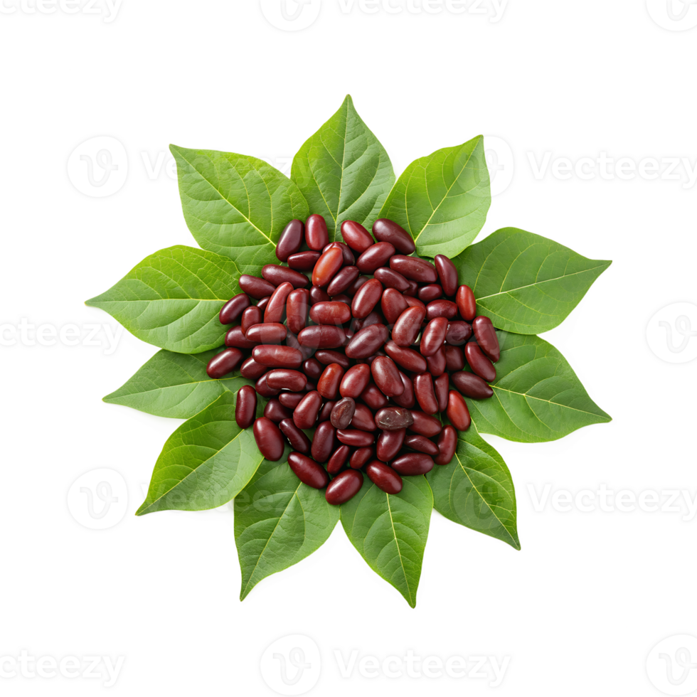 Raw Dark Red Kidney Beans with Fresh Green Leaves png