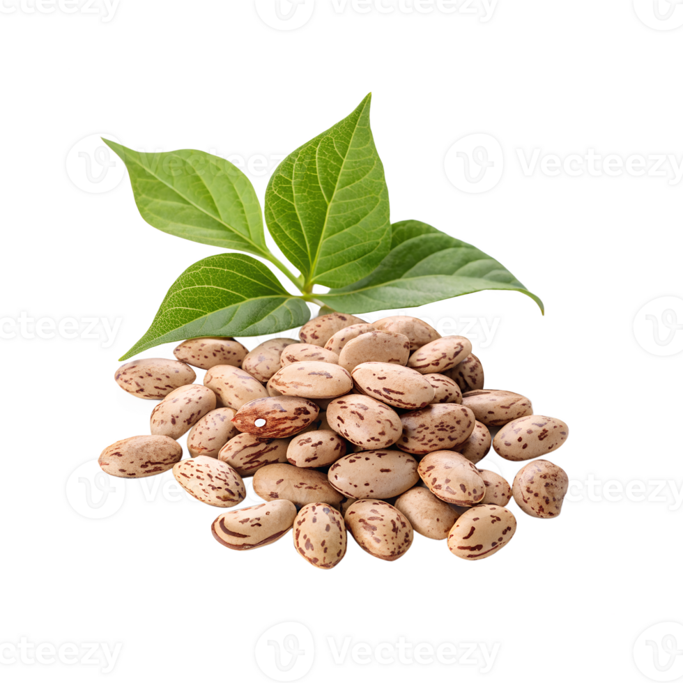 Pile of Pinto Beans with Leaves png