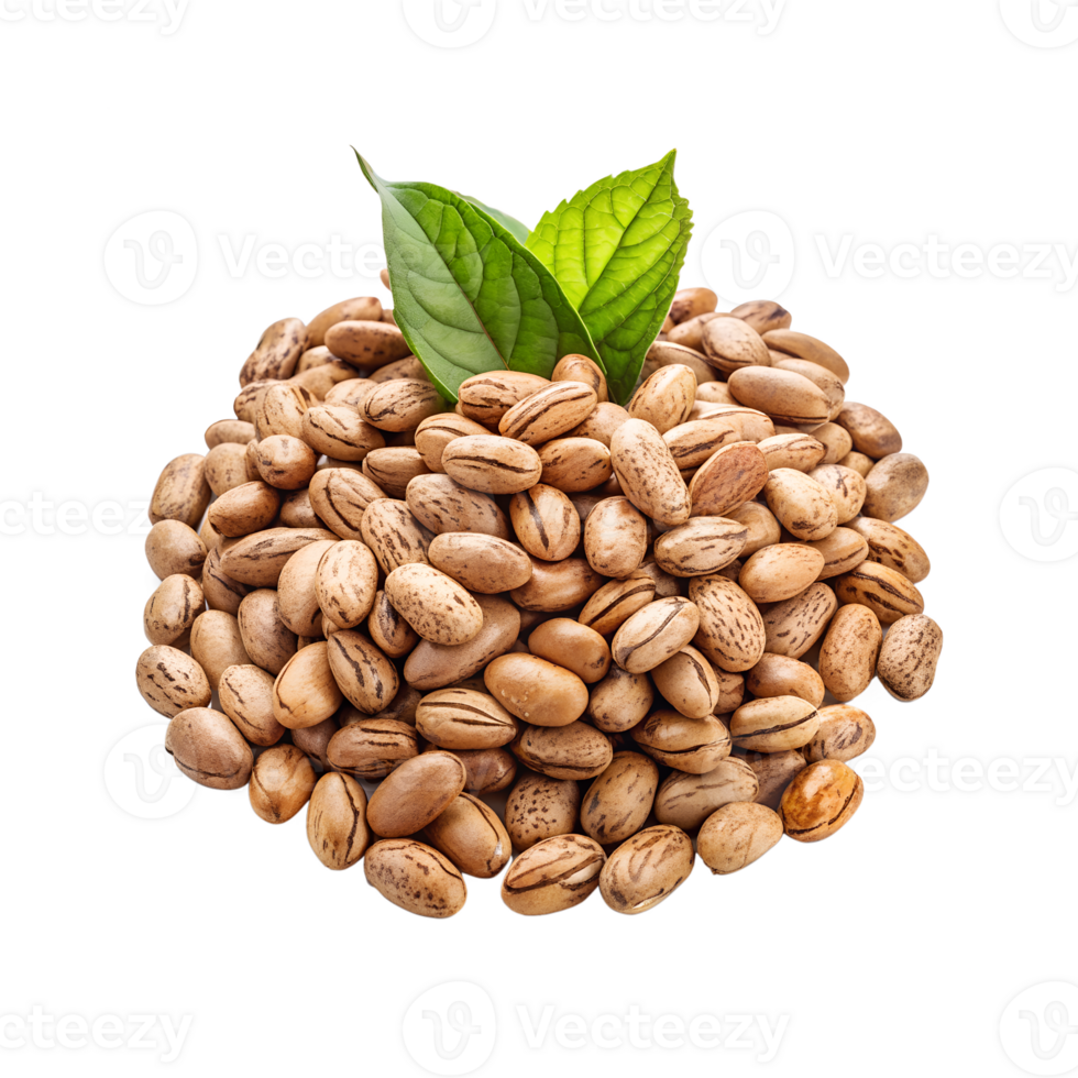 Pile of Pinto Beans with Leaves High-Detail Isolated Image png