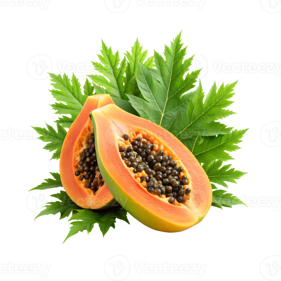 Freshly cut papaya with green leaves png