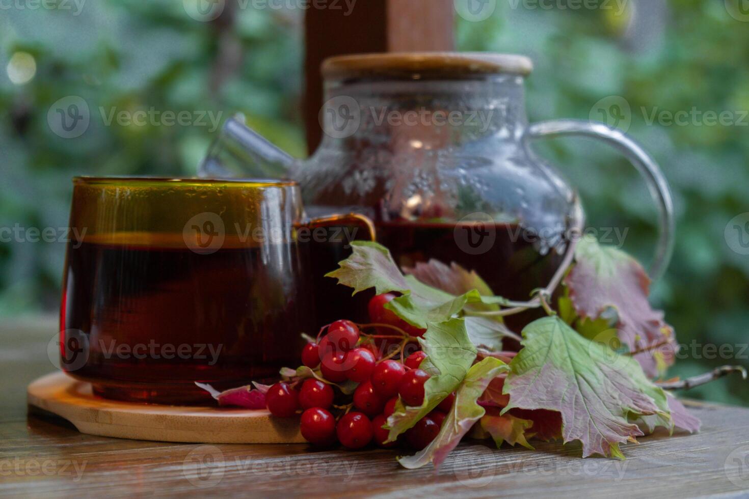 Guelder rose Viburnum red berries tea still life on table in green garden background. Healthy hot drink benefits. Natural organic aromatic drink in cup. Home-grown immunity-boosting herbs for tea. Autumn winter warming calming drink photo