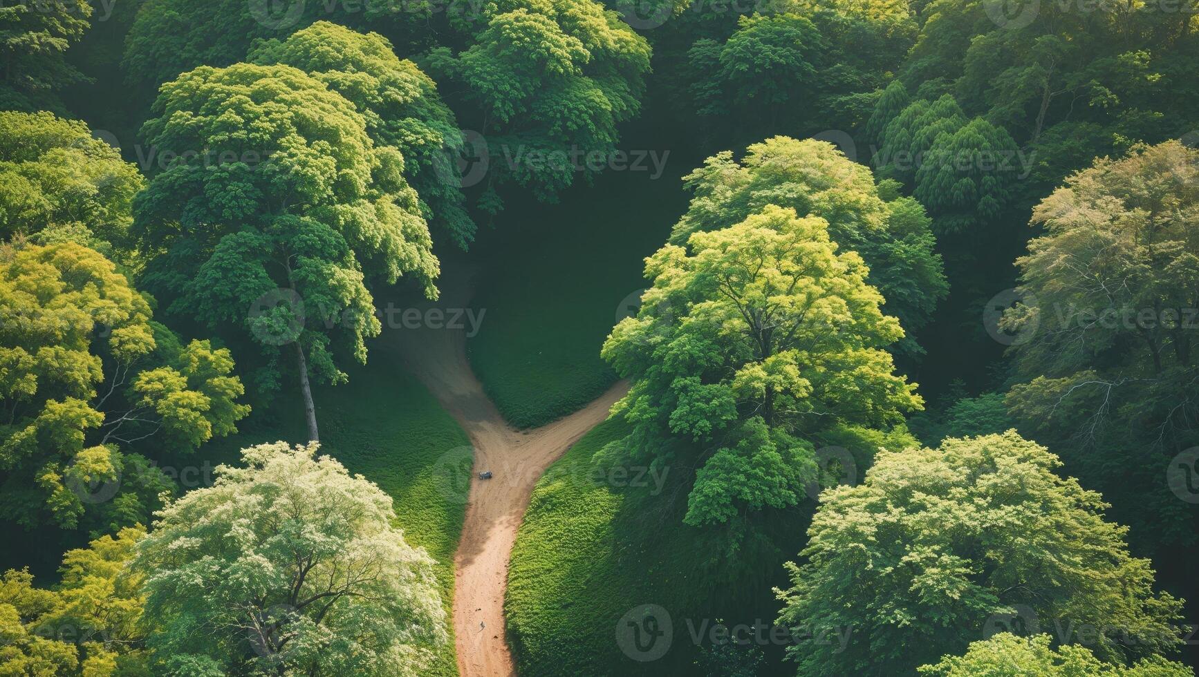 Aerial View of Lush Green Tree Canopy on Sunny Day with Clear Pathway and Space for Text Overlay. photo