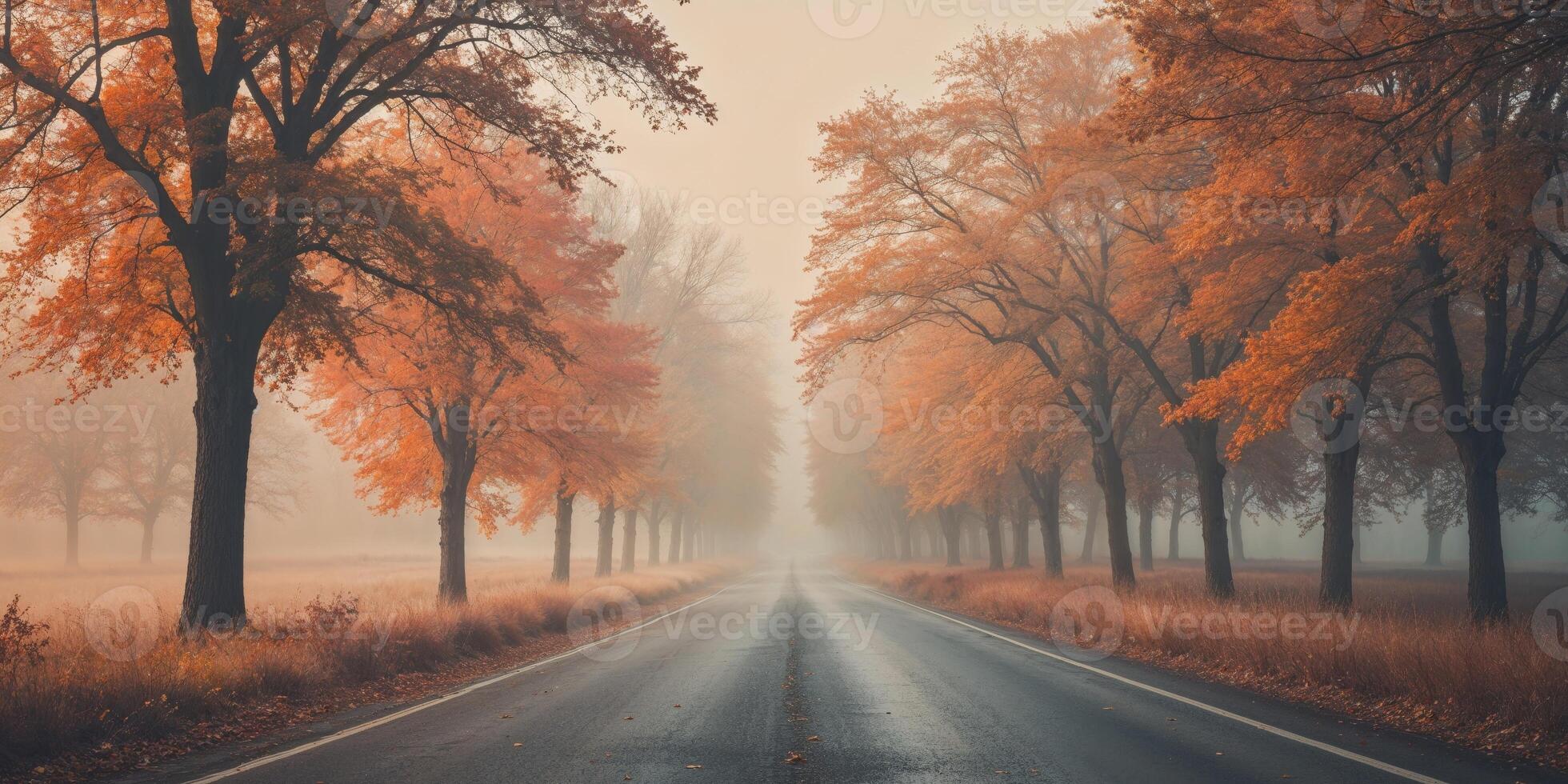 Scenic Tree Lined Road with Empty Copy Space for Text in Autumn Landscape and Tranquil Atmosphere. photo