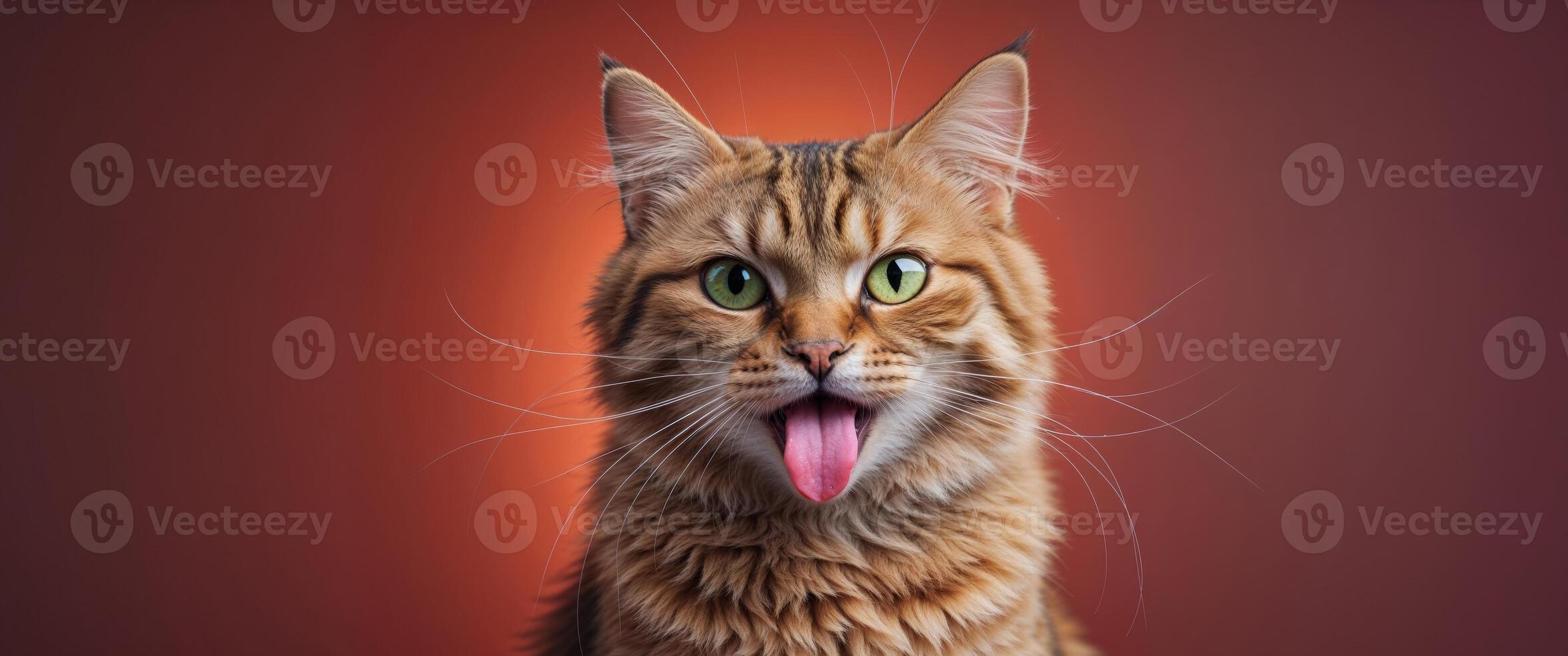 A cat with its tongue out on a red background photo