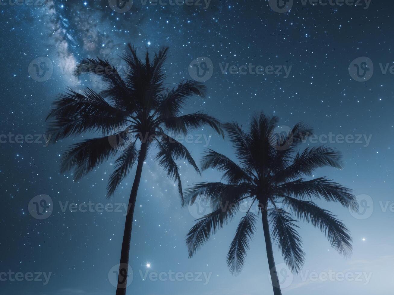 Two palm trees in the night sky with stars photo