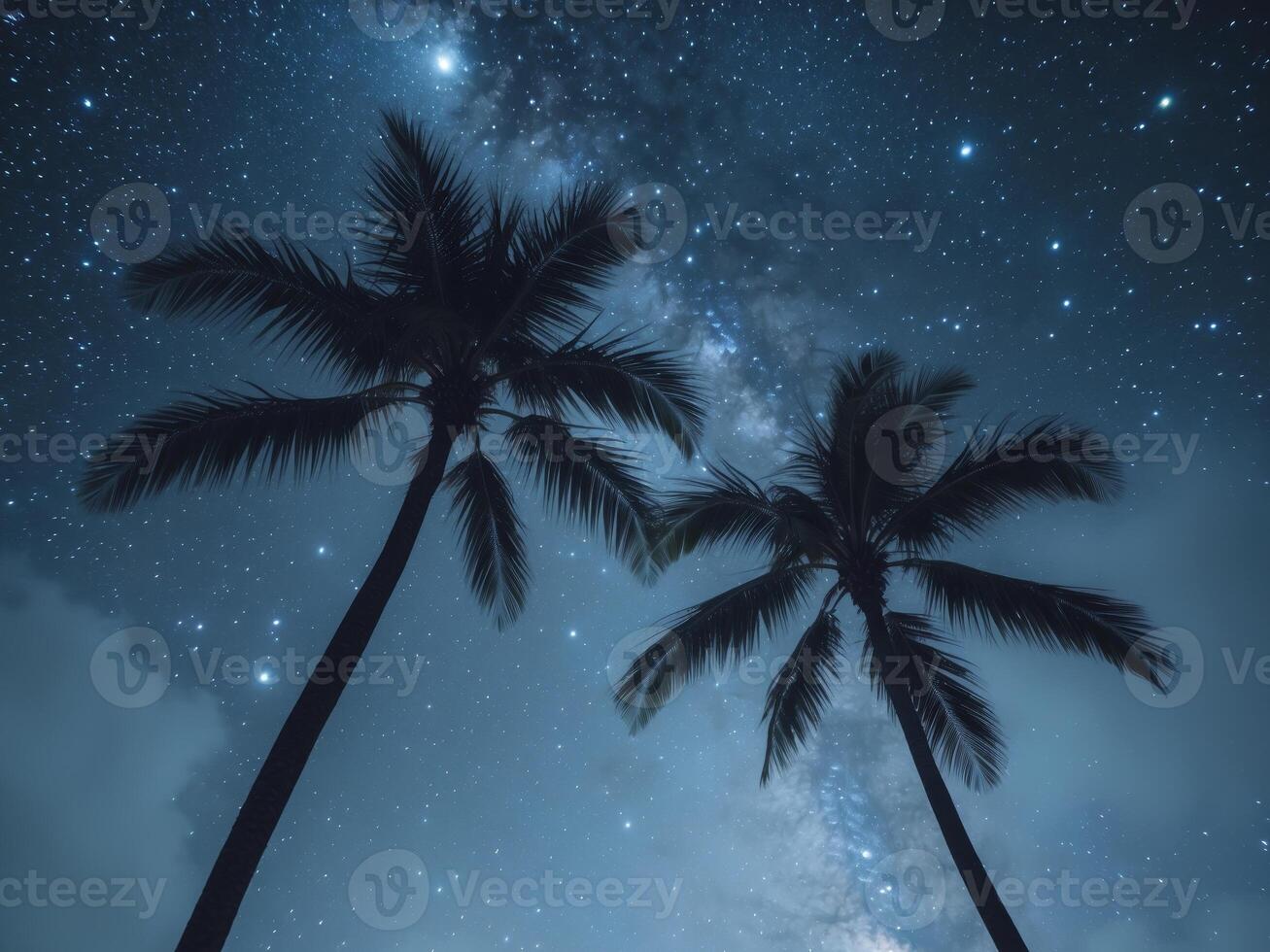 Two palm trees in the night sky with stars photo