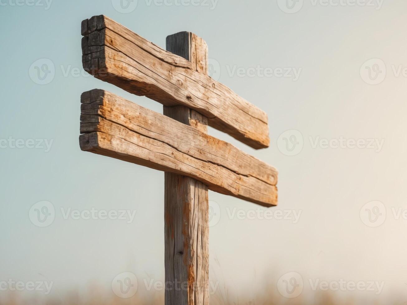 Rustic wooden signpost with empty space for directional text photo
