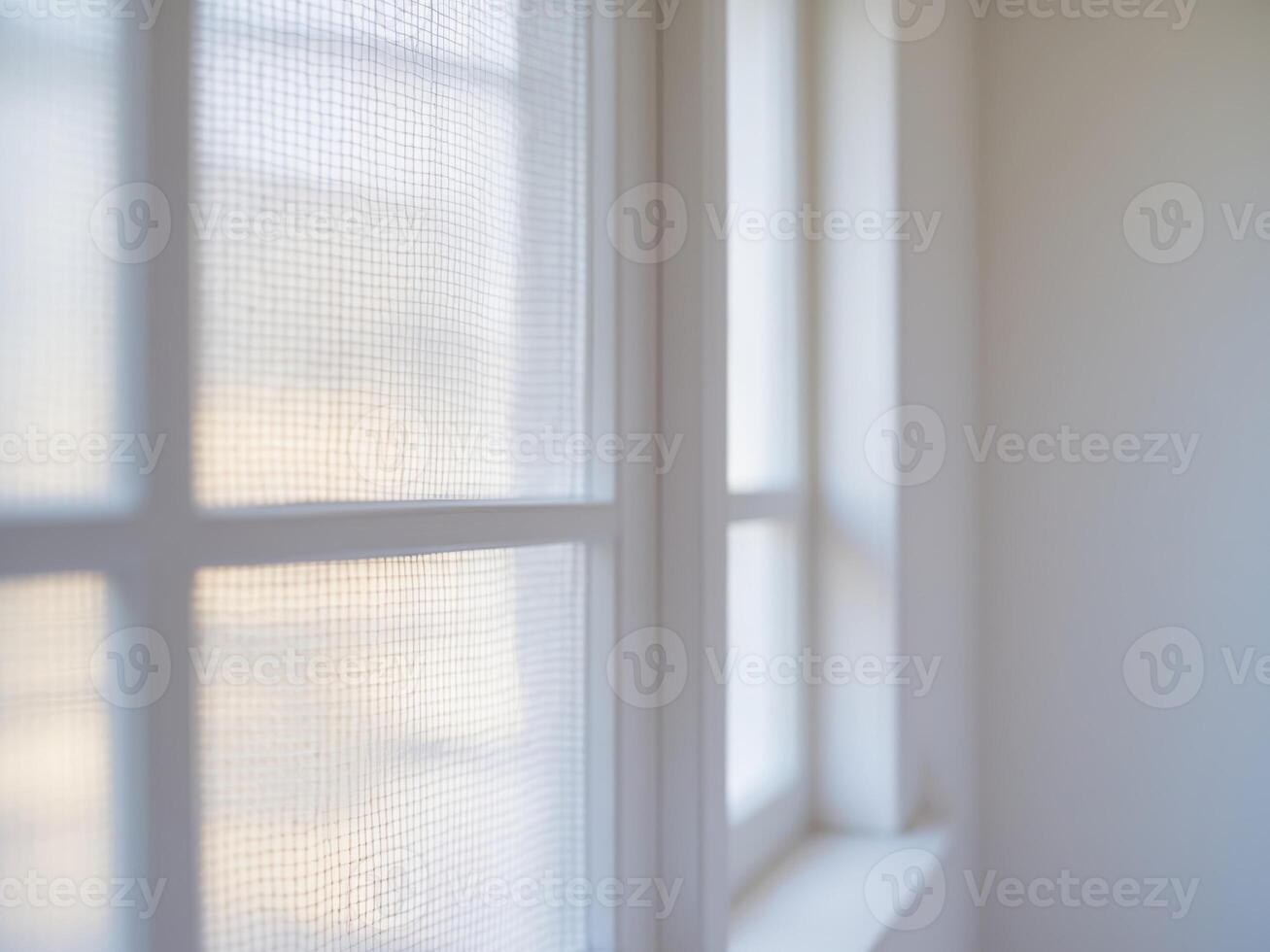 A close up of a window with a white window screen photo