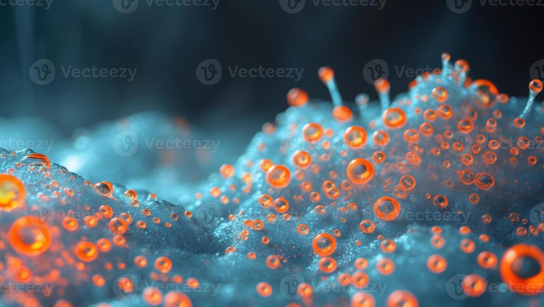 A close up of a bunch of orange bubbles photo