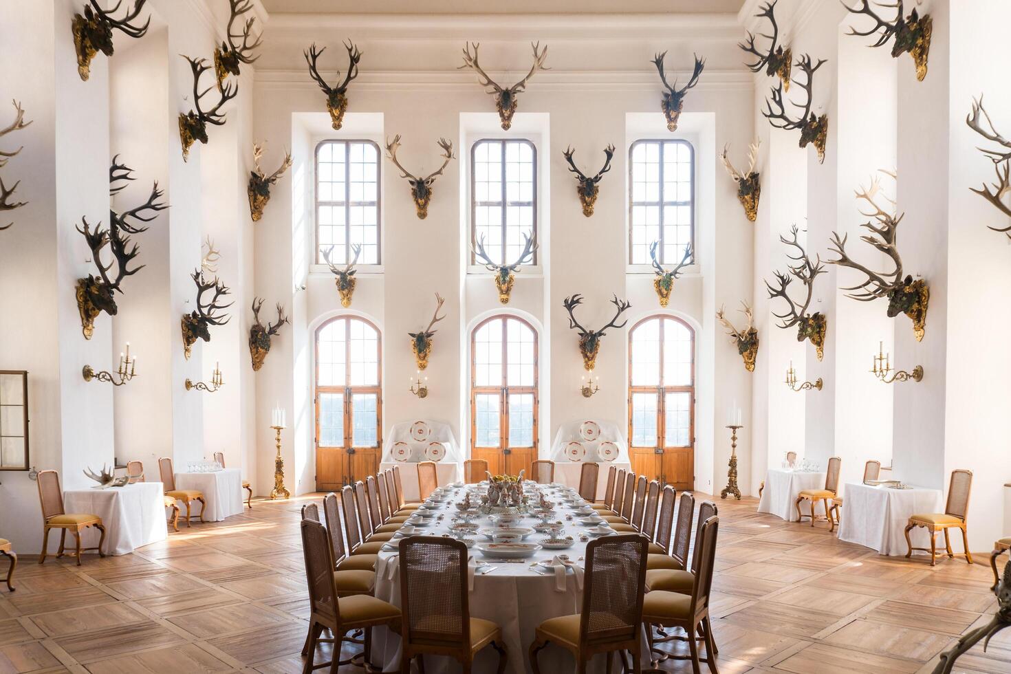 Dresden, Germany-august 16, 2022-a laid table and deer heads as trophies in the dining room of the Moritzburg castle during a day of visiting photo
