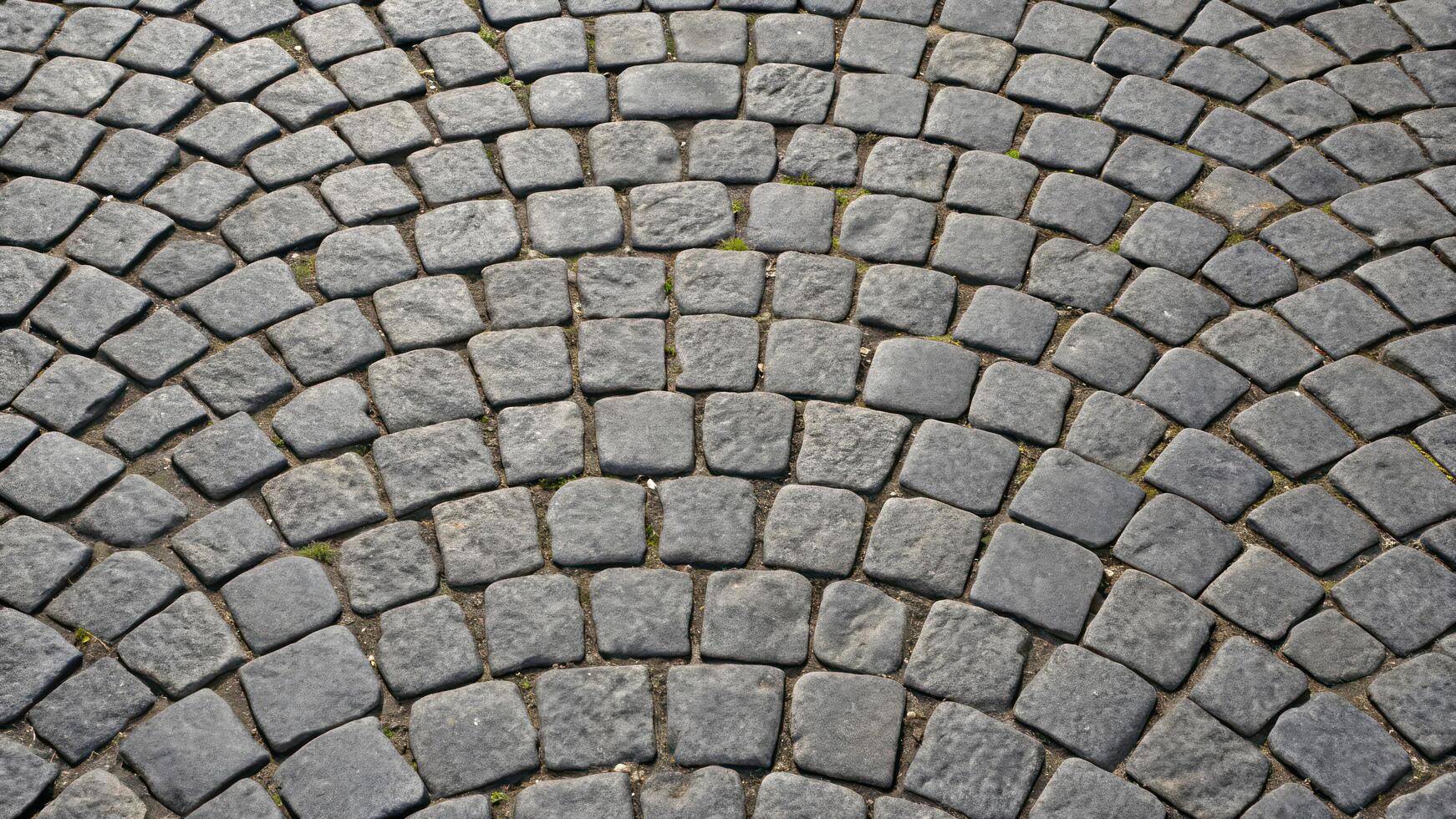 A cobblestone walkway with a circular pattern photo