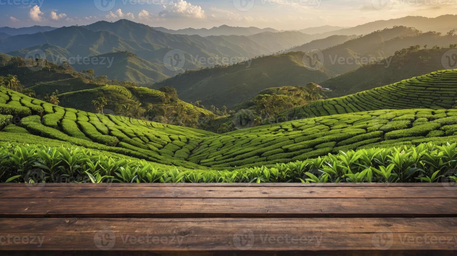 Scenic Tea Plantation with Wooden Table Overlooking Rolling Green Hills photo