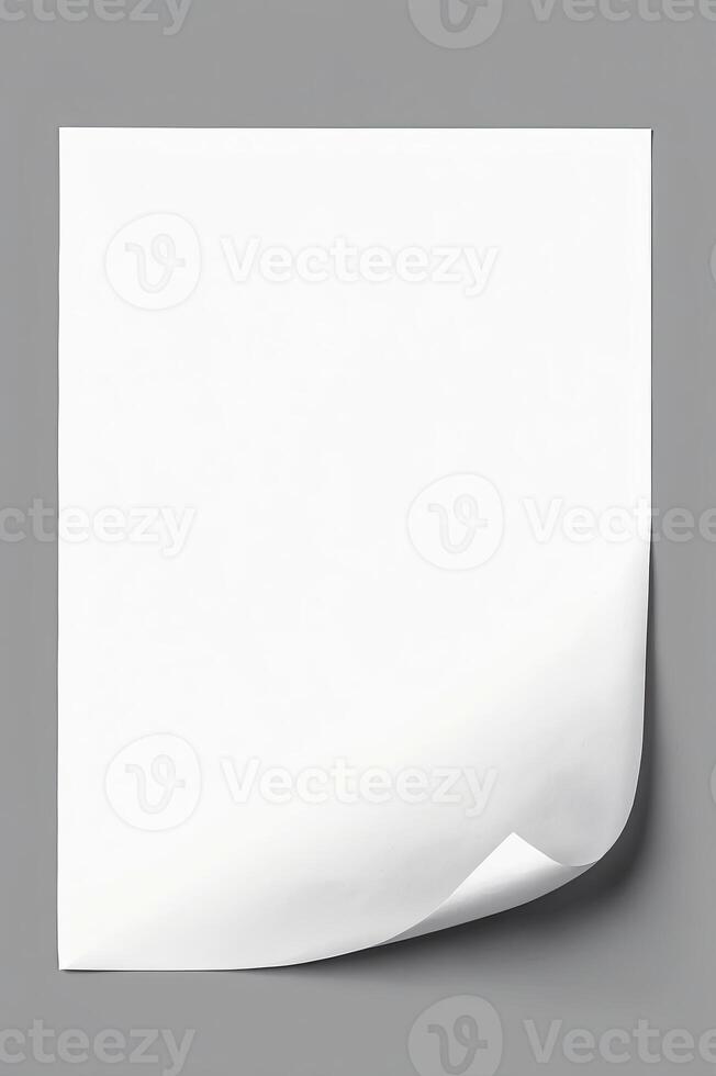 Blank White Sheet of Paper with Curled Edge on Gray Background photo