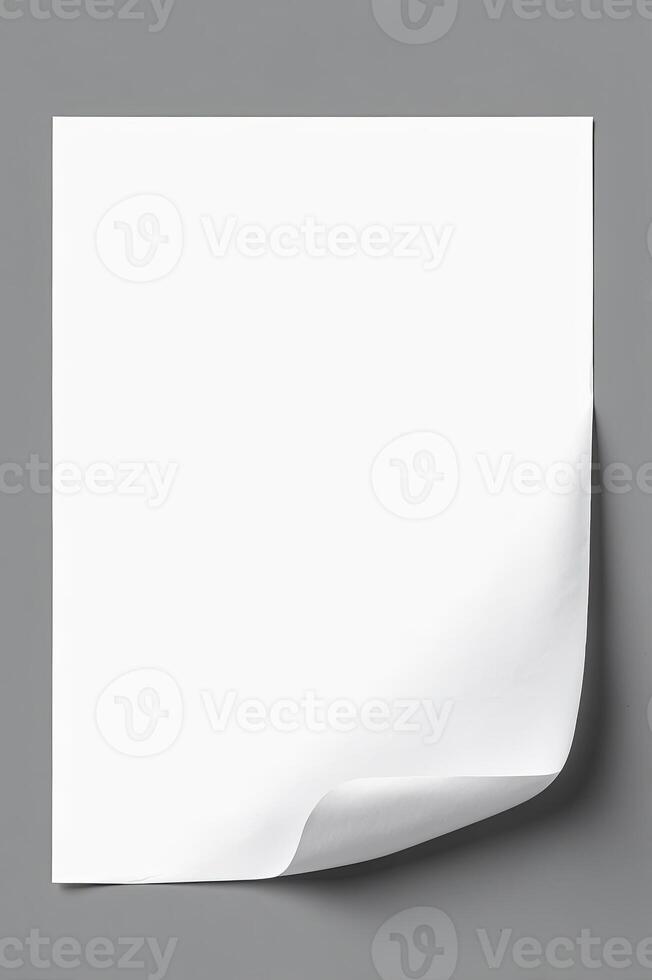 Blank White Paper Sheet photo