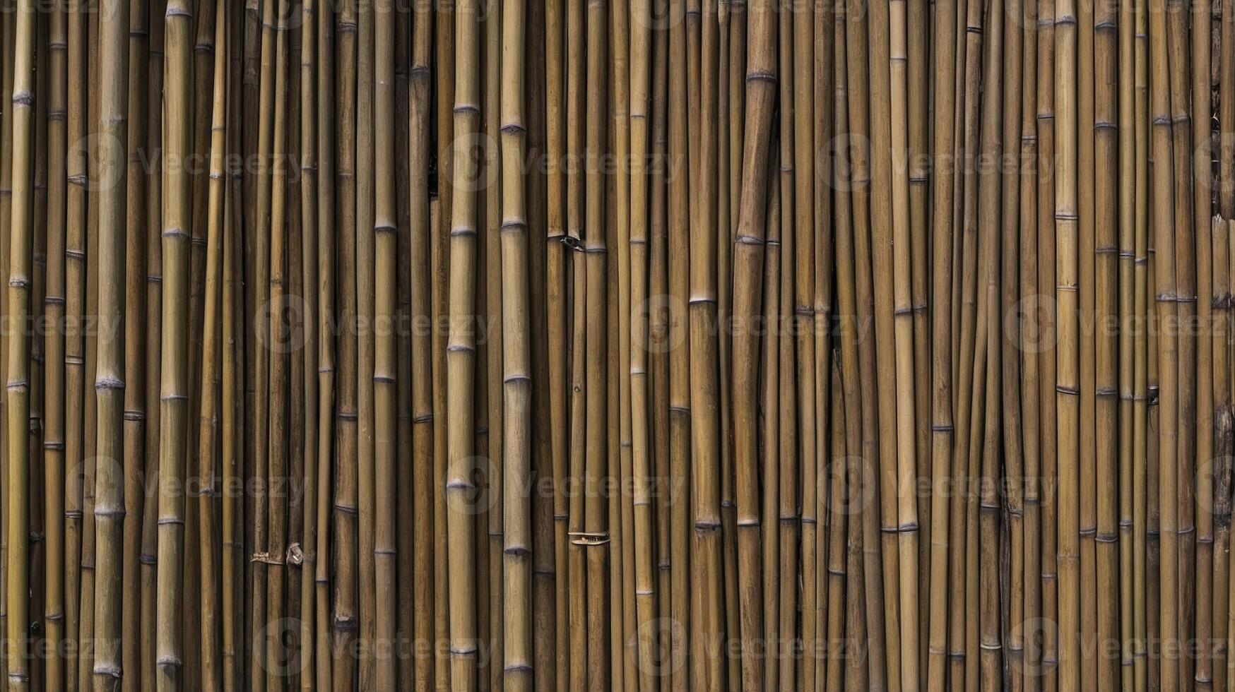 Bamboo Stalks Forming a Natural Fence or Wall, Rustic Texture photo