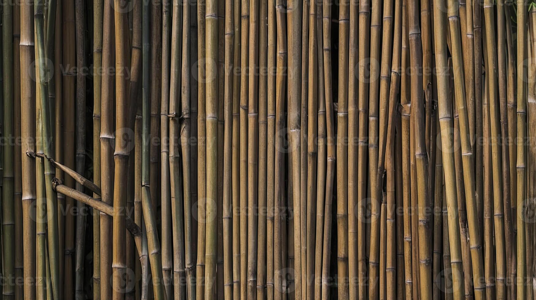 Bamboo Stalks Creating Natural Texture Background with Brown and Green Tones photo