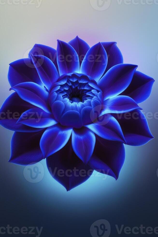 Close-up of a Blue Flower with Elegant Petals on Soft Gradient Background photo