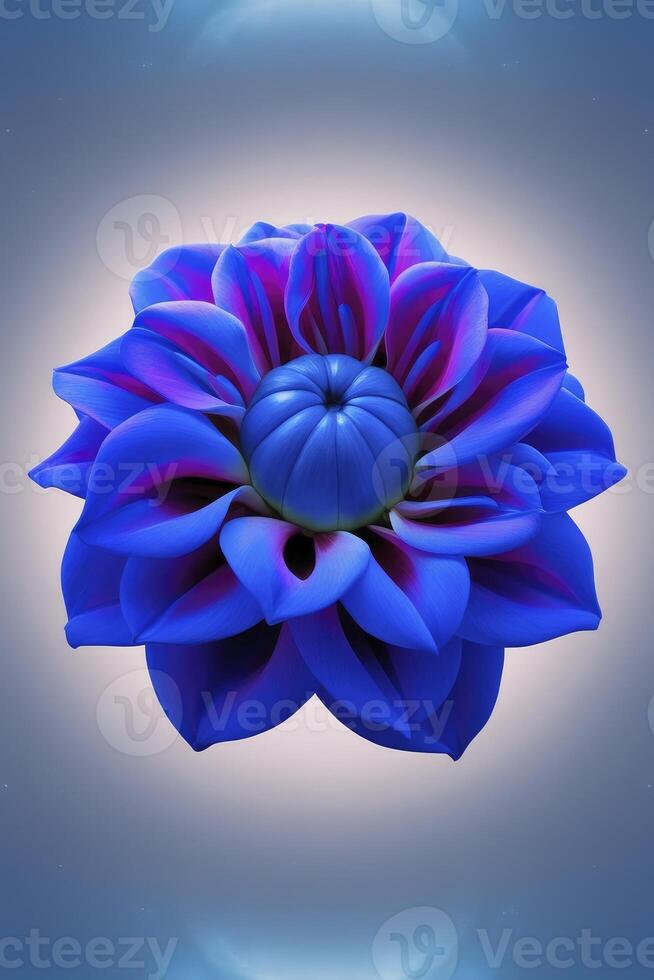 Captivating Blue Dahlia Flower Close-up with Deep Violet Accents and Soft Light photo