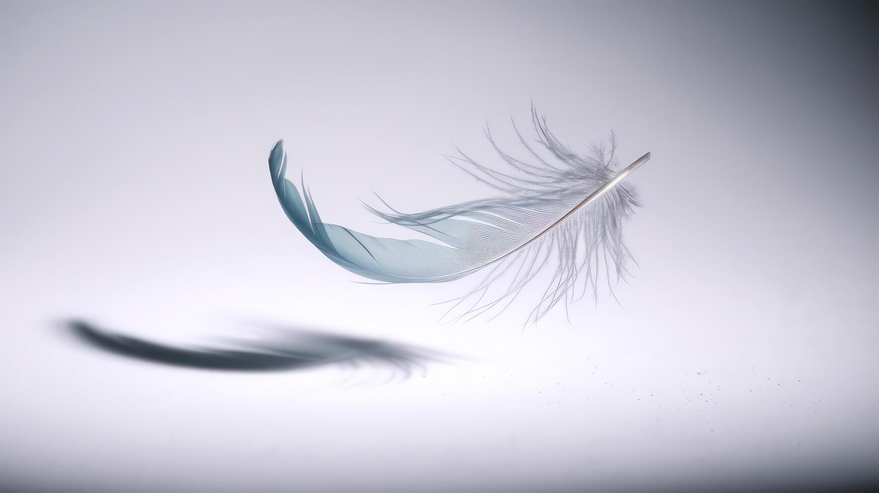 A feather is flying in the air with a shadow photo