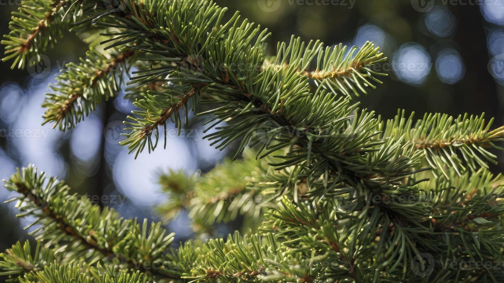 Close-up of Green Pine Branch with Needles in Natural Setting photo