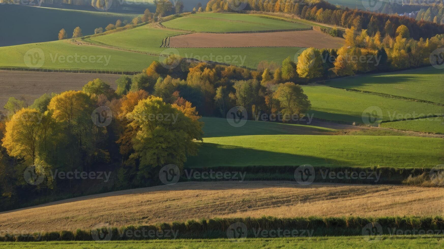 Rolling Hills Landscape with Autumn Colors and Green Fields Farming photo