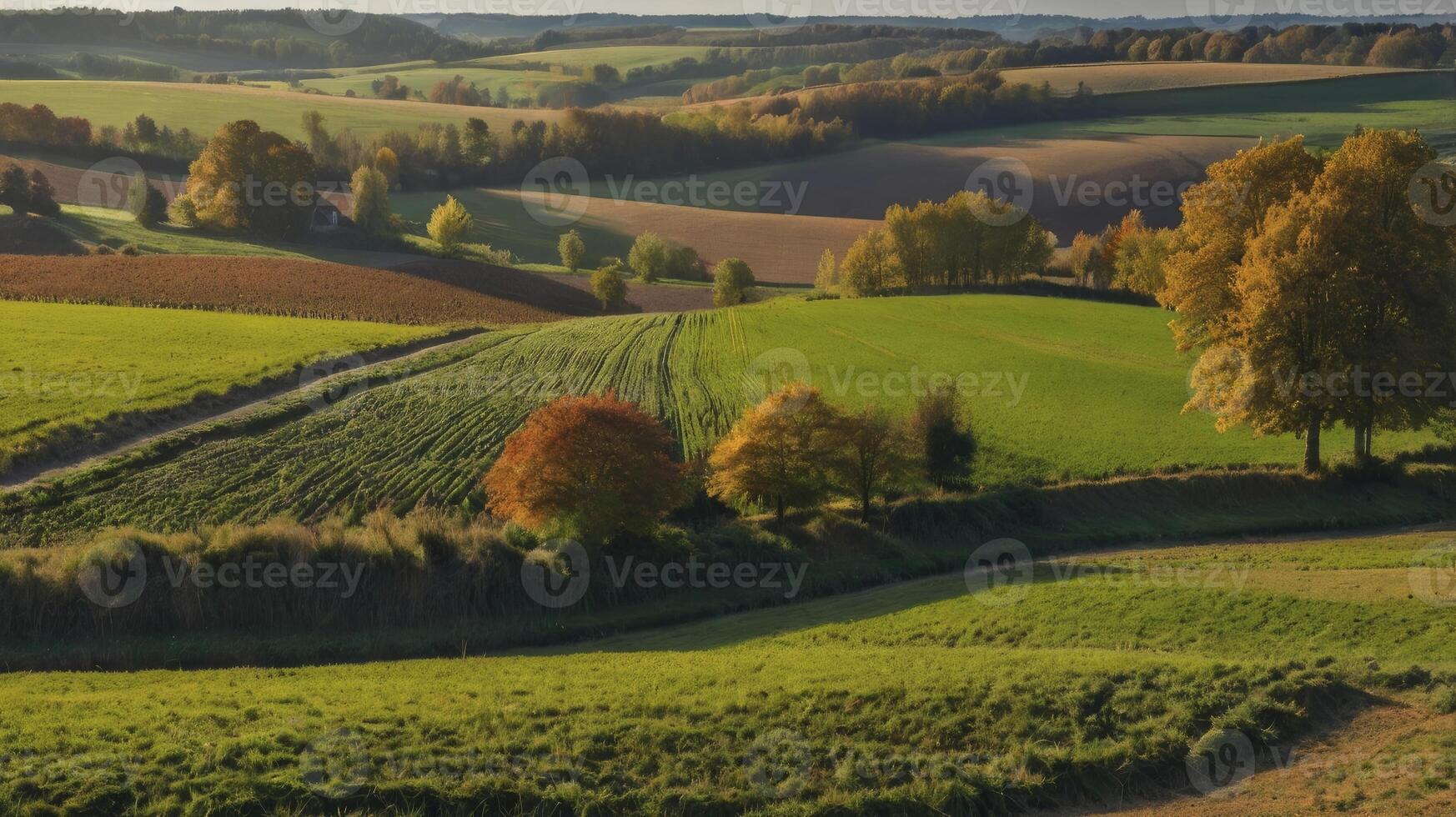Rolling Hills Landscape with Autumn Colors and Fields at Golden Hour photo