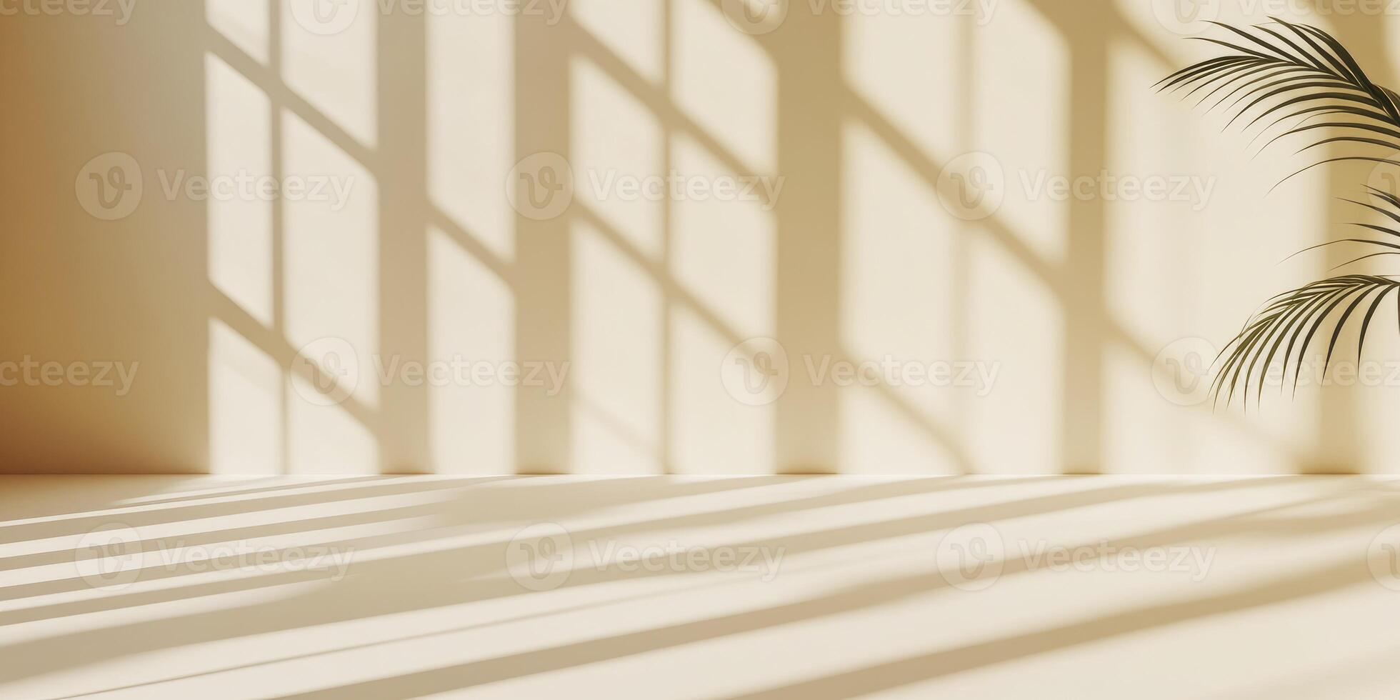 Indoor Studio with Light and Shadows and Plant Accent for Mockup photo