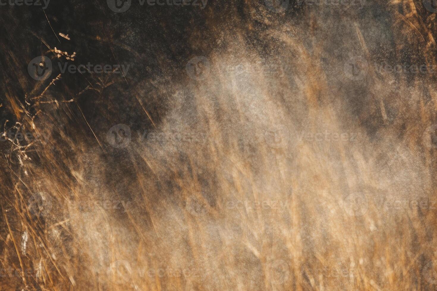 Golden Grass Field with Dreamy Motion Blur Effect in Nature Scenery photo