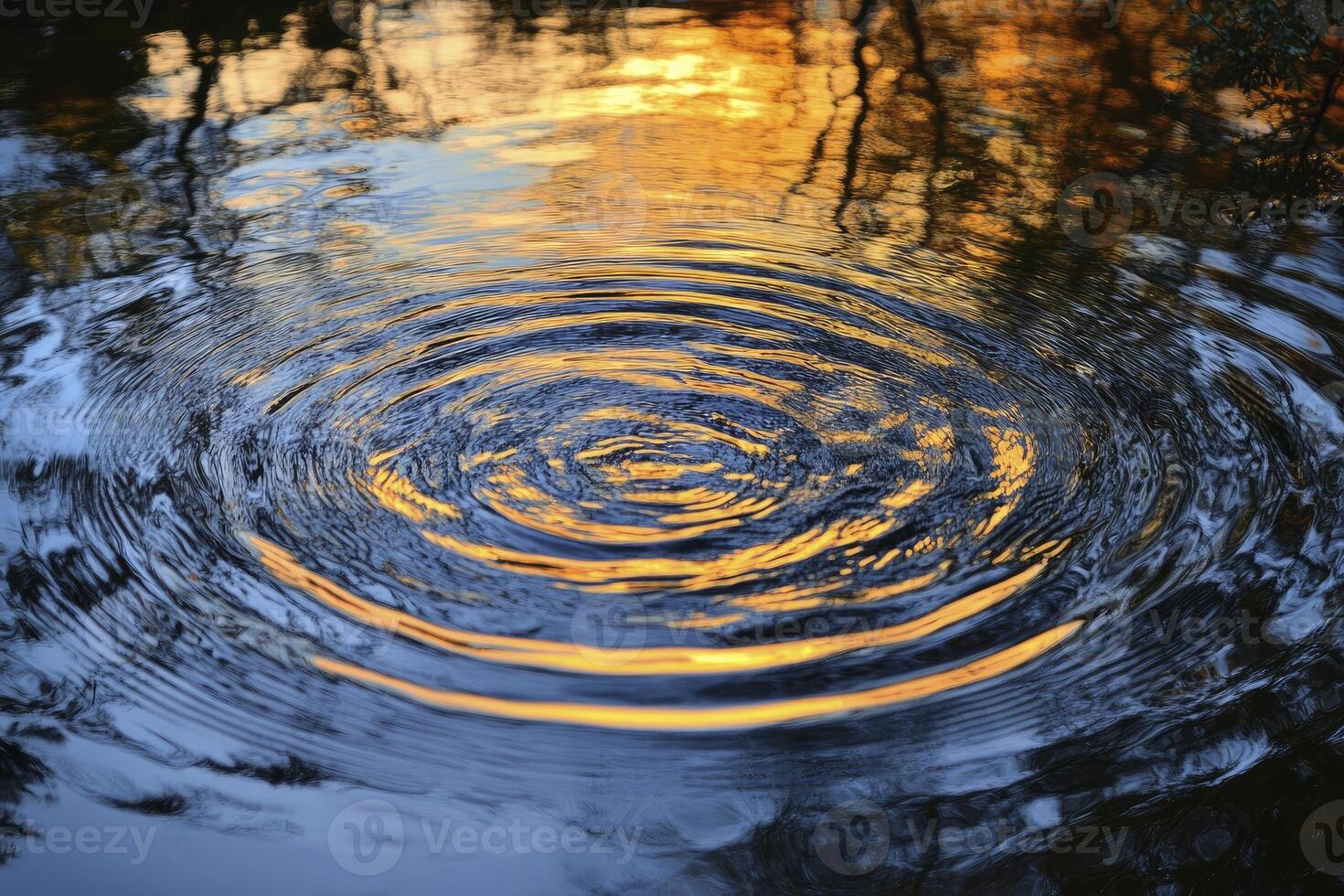 Water Ripples Reflecting Golden Light with Tree Silhouettes Creates a Calm Scene photo