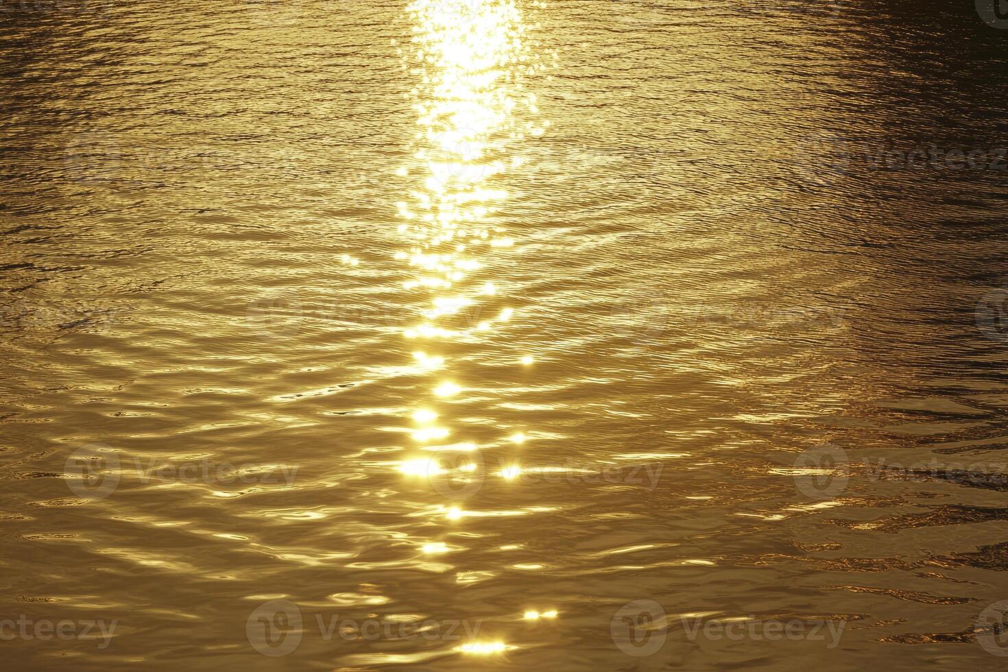Sunlight Reflecting on Water Creating a Golden Shimmering Surface photo
