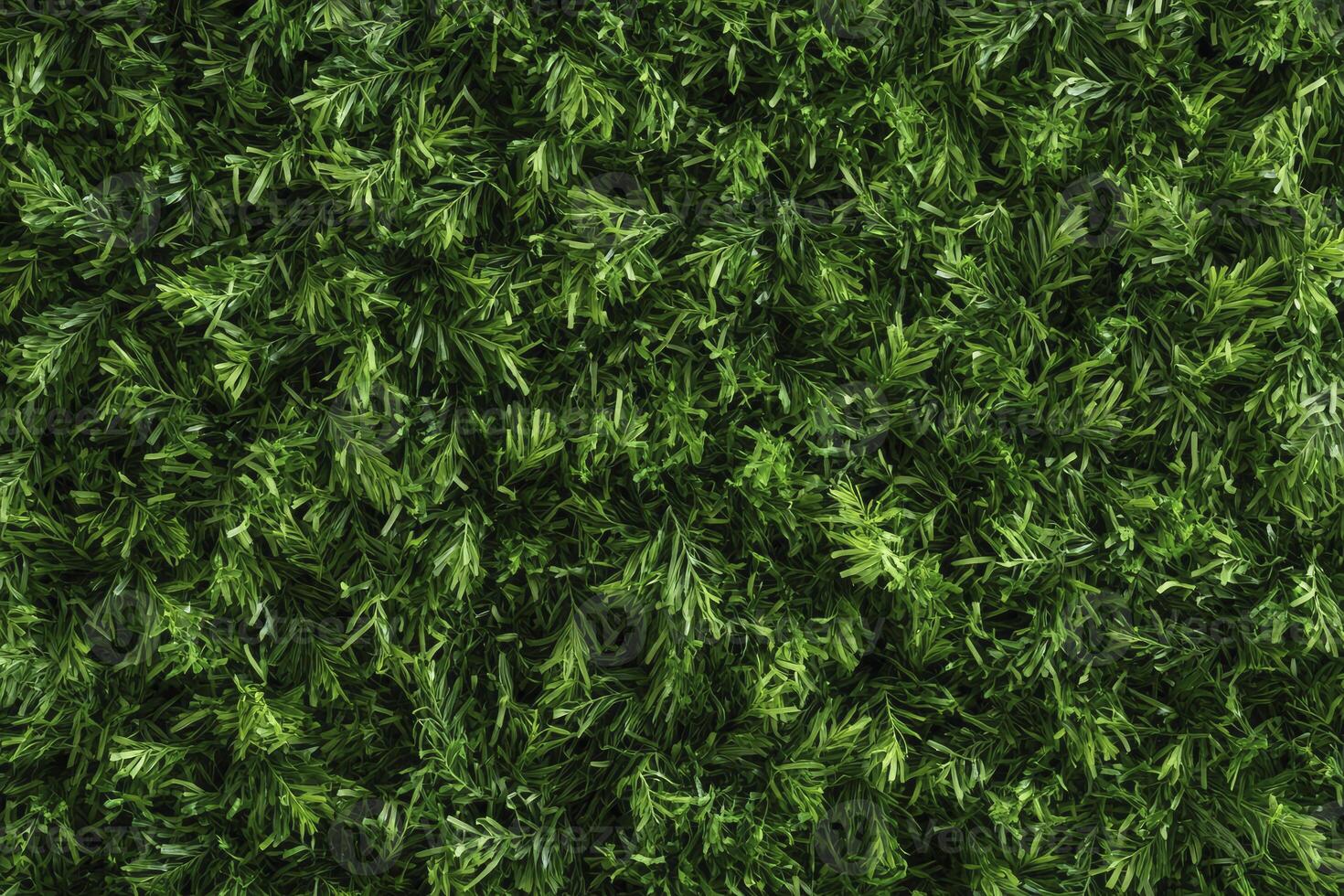 Dense Green Artificial Grass Close-up Background Texture for Decoration photo