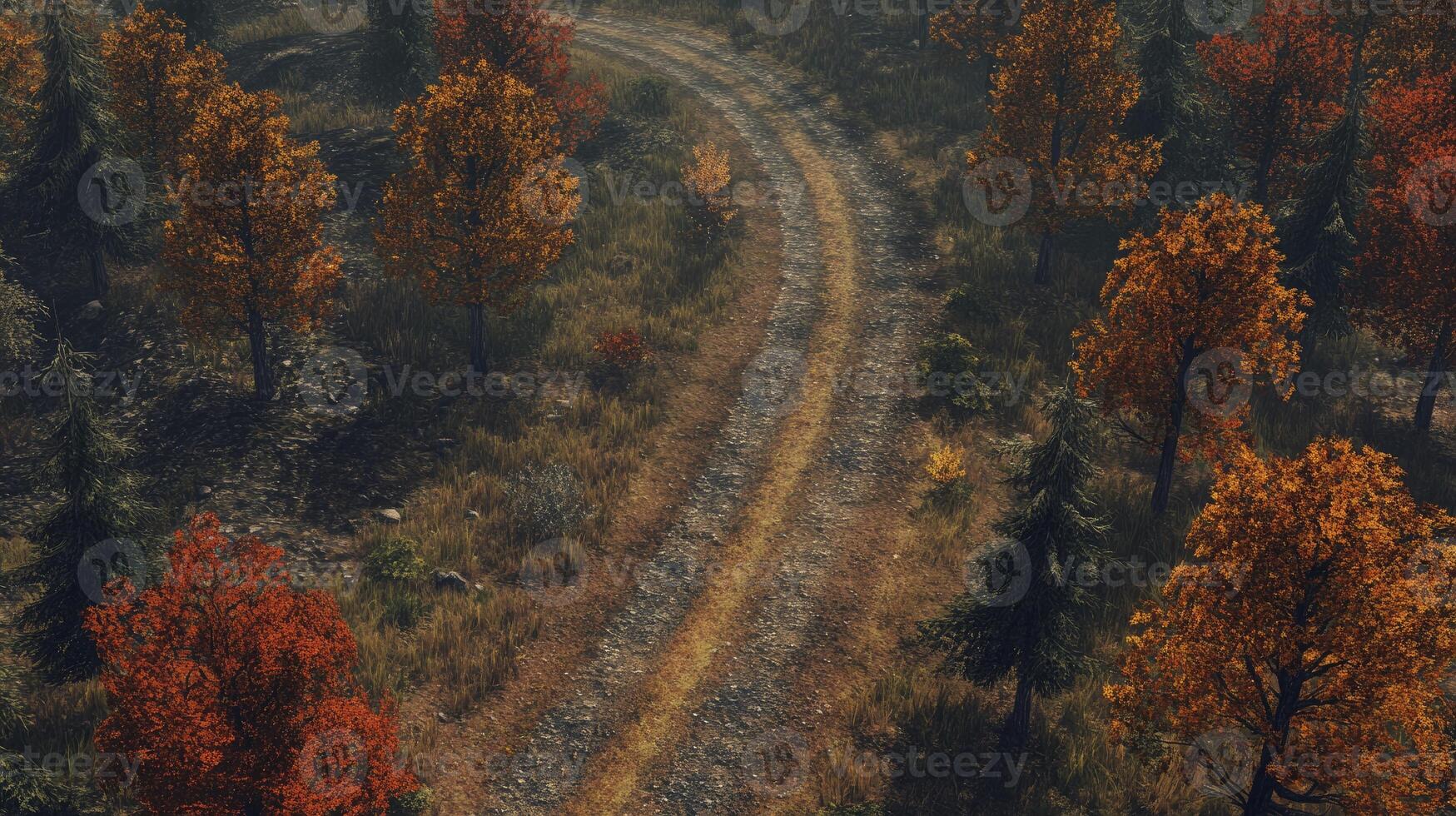 Winding Dirt Road Through Forest in Autumn with Colorful Trees photo