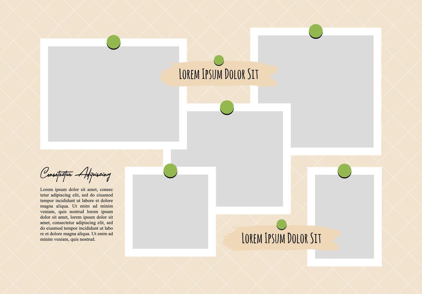 Picture or photos frame collage Creative vector