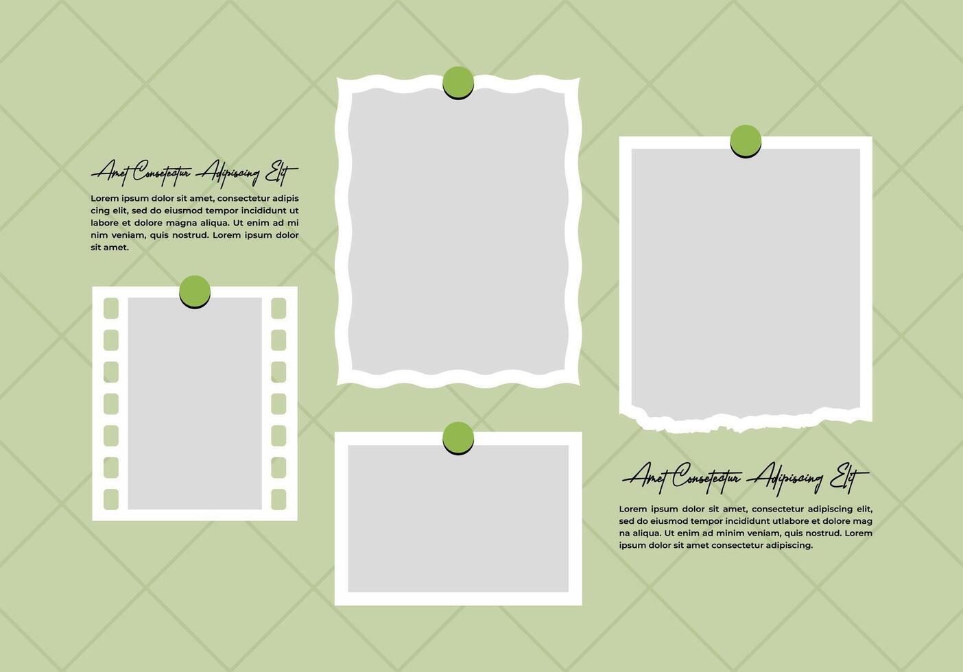 Picture or photos collage and digital photo wall template design vector