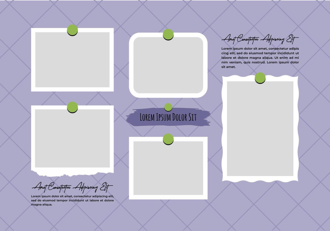 Picture photos frame collage and digital photo design template vector