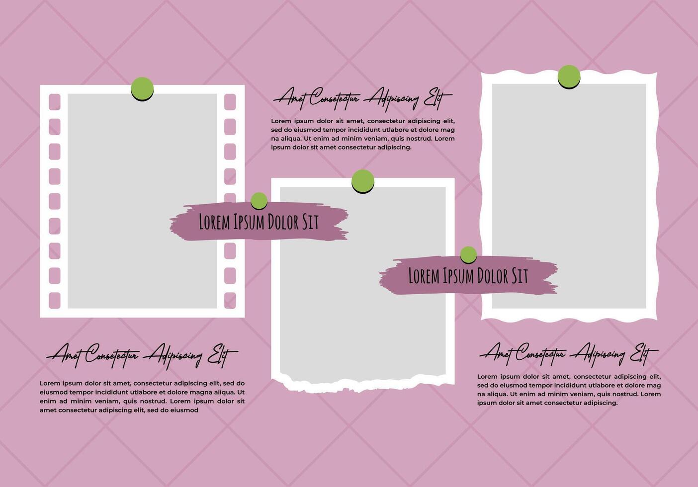 Creative abstract photo frames and digital photo wall template vector