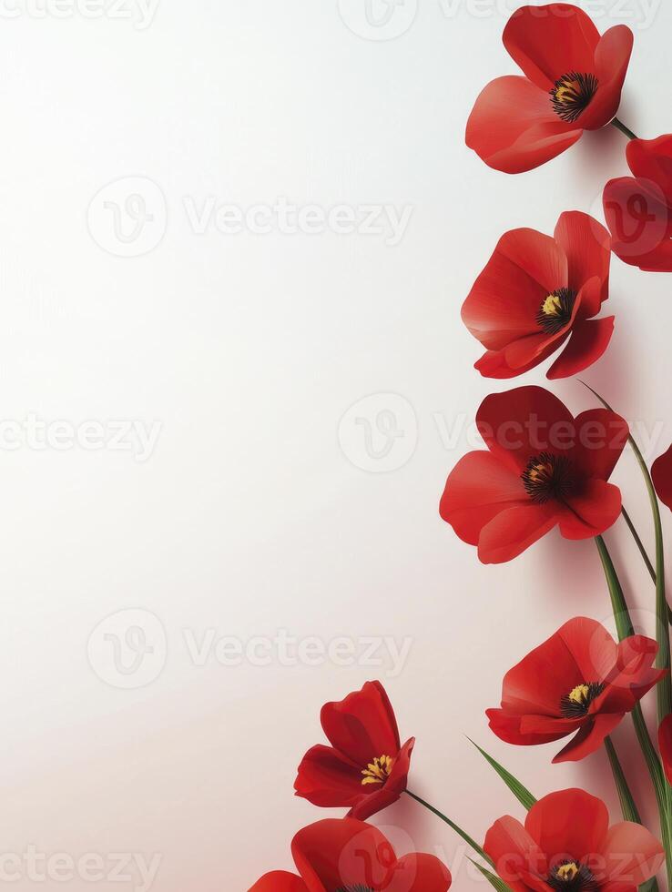 Red Poppy Flowers Arranged Vertically on a Light Colored Background photo