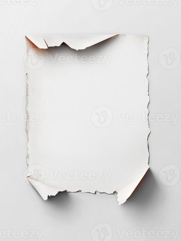 Blank Torn Paper Sheet with Rolled Corners on White Background photo