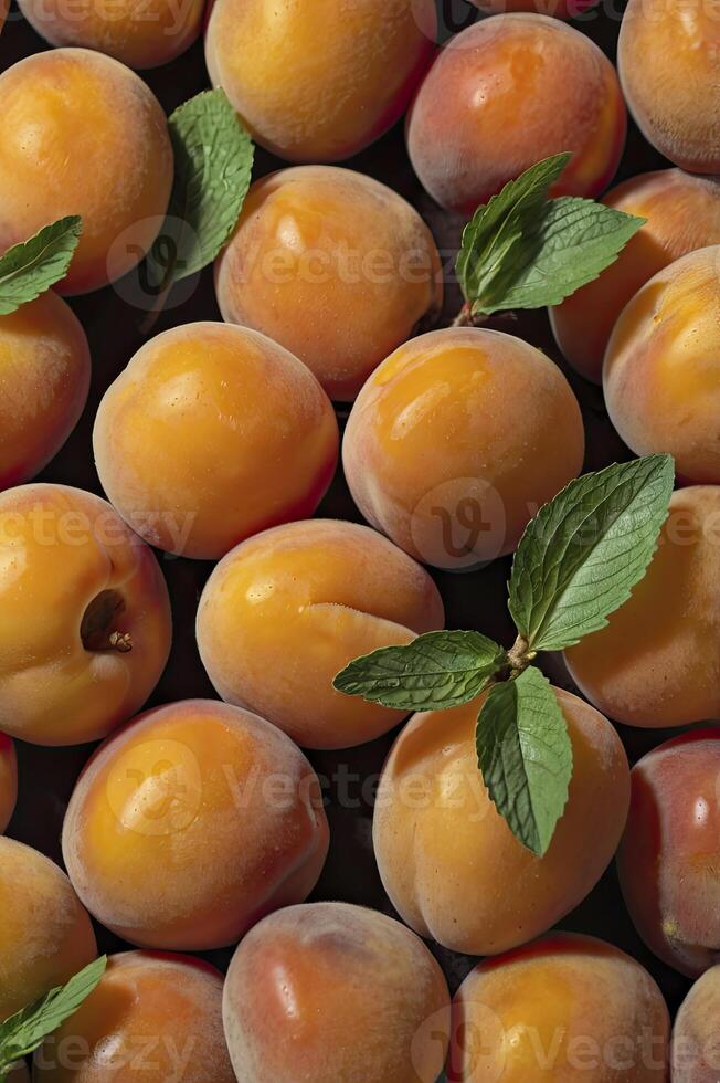 Fresh Apricots Background with Mint Leaves Overhead Close-up Still Life photo