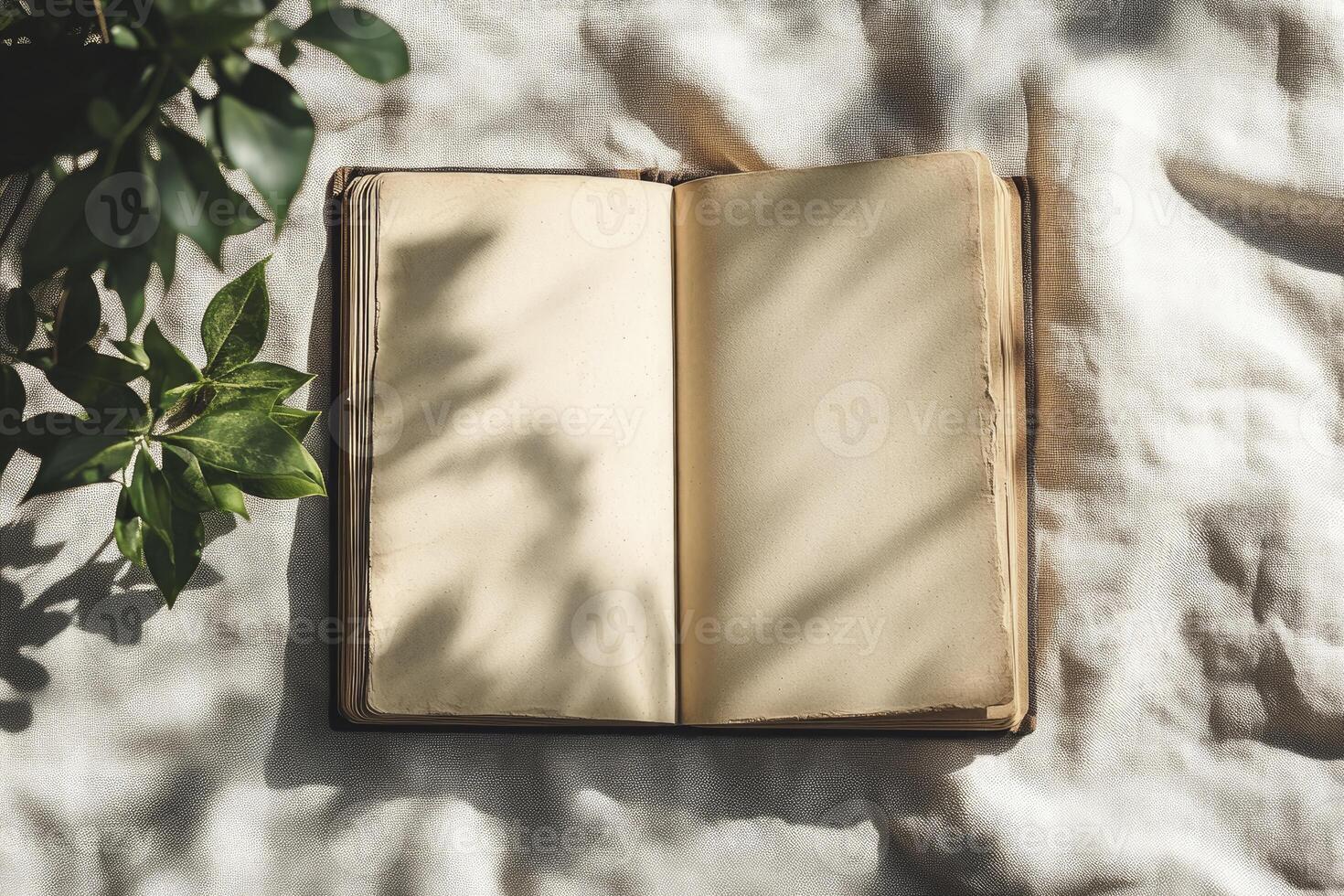 Open Antique Book on Linen with Leaf Shadows Provides Blank Space photo