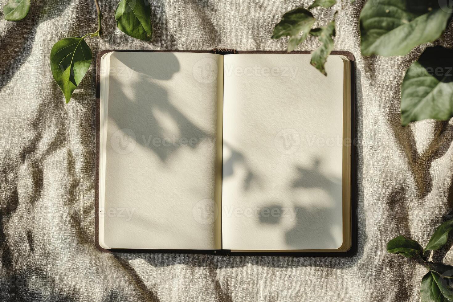 Open Notebook with Blank Pages Surrounded by Green Leaves Casting Shadows photo
