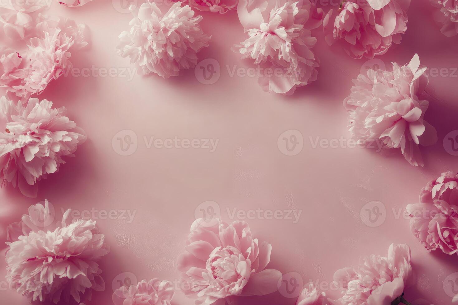 Arrangement of Light Pink Peonies on Pink Background with Copy Space photo