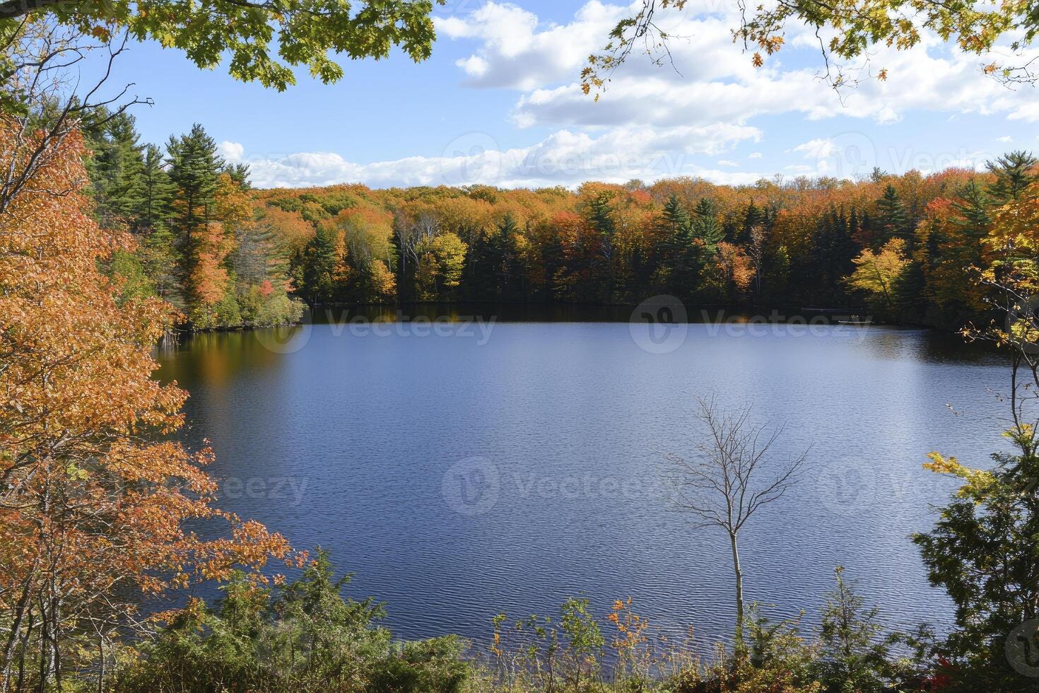 Calm Lake Surrounded by Autumn Trees Under Cloudy Sky photo
