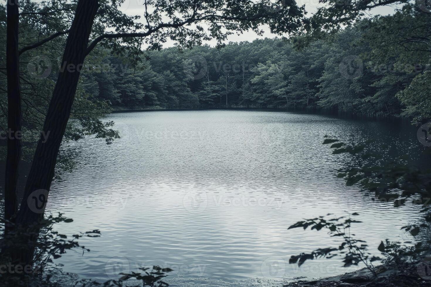 Calm Lake Surrounded by Forest Trees on an Overcast Day photo